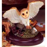 Barn Owl - Country Artists 01205