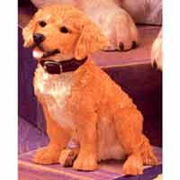 Gordon - Golden Retriever - Country Artists 90317