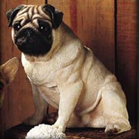 Pug Sitting Adult - Living Stone E01682