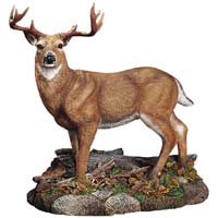 Deer White Tail - Living Stone E20723