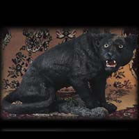 Panther - Living Stone E65063