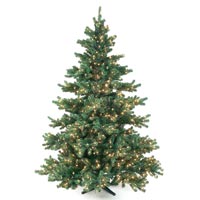 9.5' Sierra Fir Medium Tree - Clear Bulbs - Roman Lights & Decorations 161680