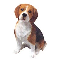 Beagle - Sandicast 111