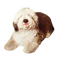 Old English Sheepdog - Sandicast 165