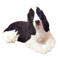 Springer Spaniel - Sandicast 168