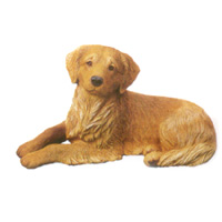 Golden Retriever - Sandicast 375